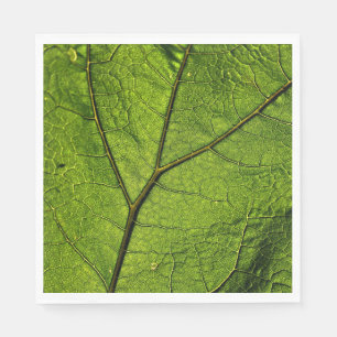 Servilleta De Papel Leaf. Butterbur verde