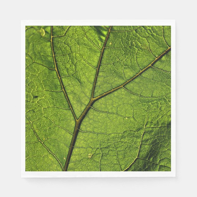 Servilleta De Papel Leaf. Butterbur verde (Anverso)