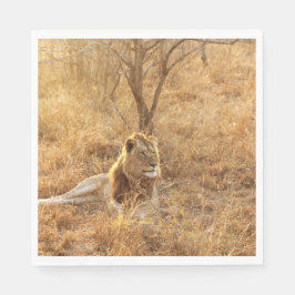 Servilleta De Papel León