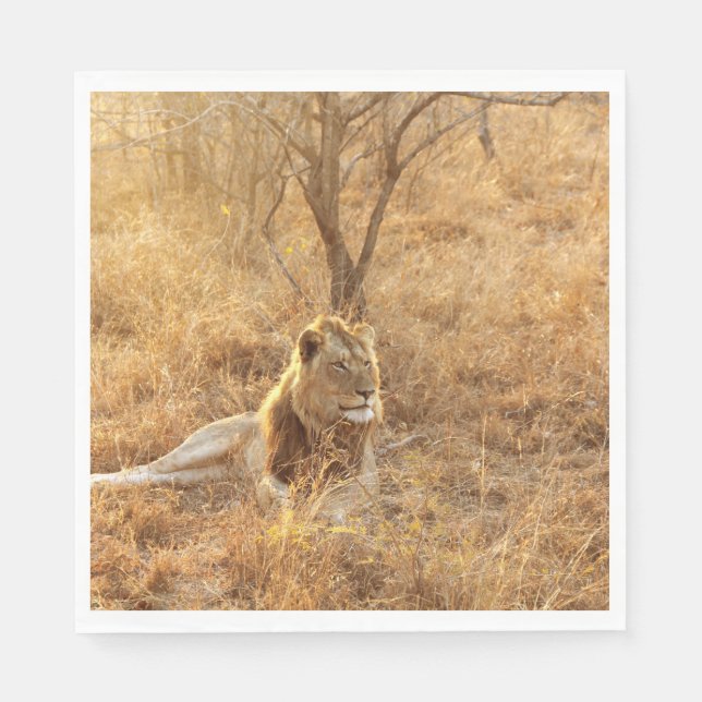 Servilleta De Papel León (Anverso)