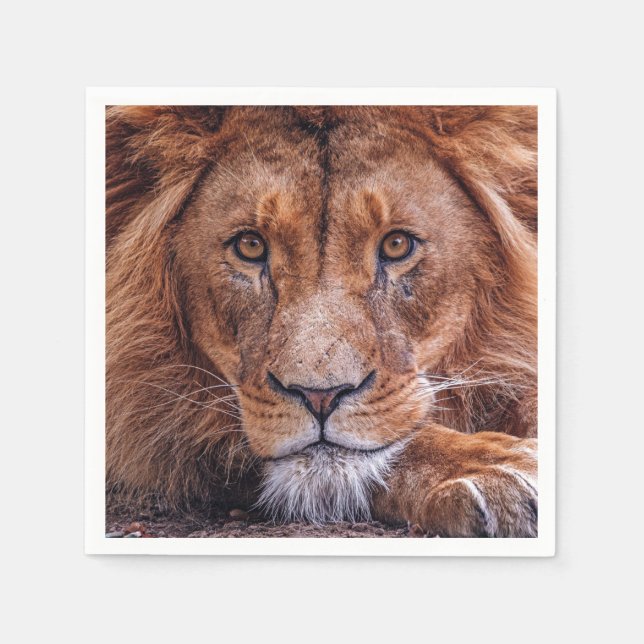 Servilleta De Papel León africano (Anverso)