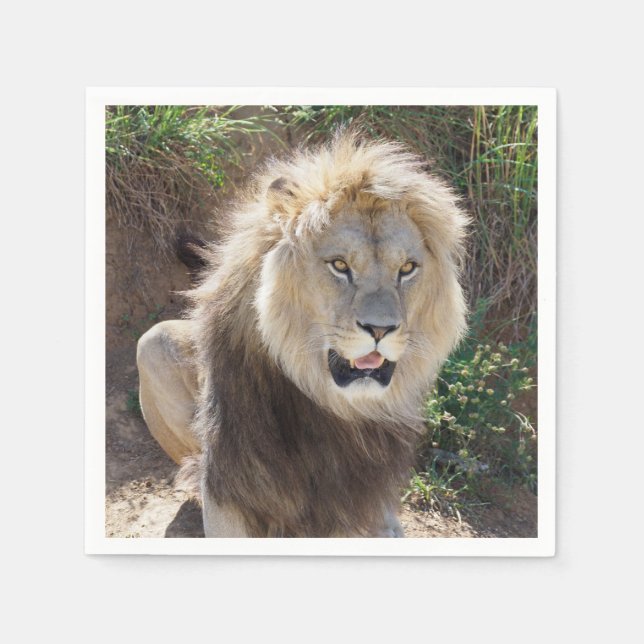 Servilleta De Papel León sentado en las rocas (Anverso)