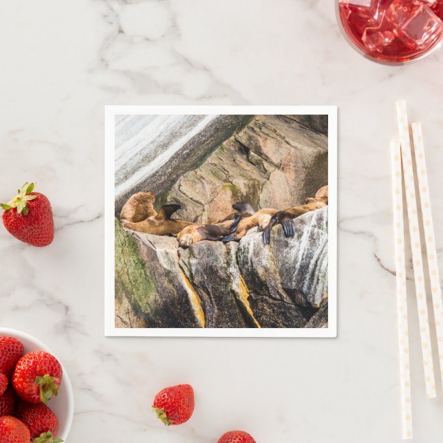 Servilleta De Papel Leones Marinos Sobre Las Rocas (In situ)