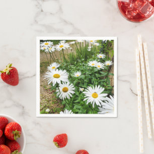 Servilleta De Papel Leucanthemum Blooms Paper Napkins