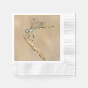 Servilleta De Papel Libélula Skimmer Insecto Hembra (CC BY 4.0)