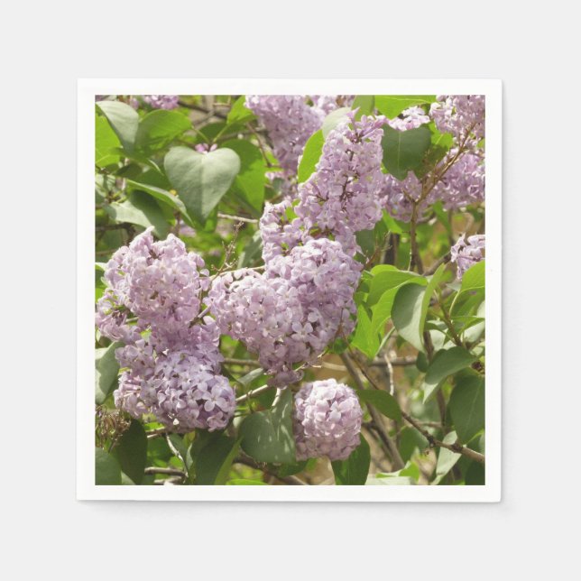 Servilleta De Papel Lilac Bush hermosas flores de primavera morada (Anverso)