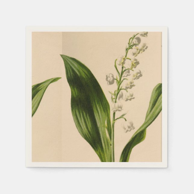 Servilleta De Papel Lily of the Valley Ecru Napkins (Anverso)