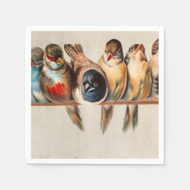 Servilleta De Papel Línea de aves y palomas (Anverso)
