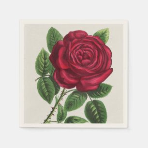 Servilleta De Papel Litografía de rosa antigua, François-Frédéric Grob