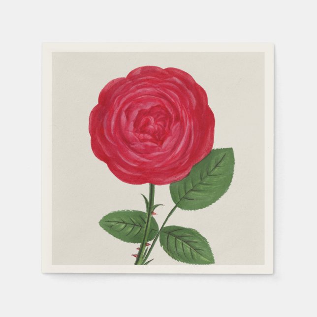 Servilleta De Papel Litografía de rosa antigua, François-Frédéric Grob (Anverso)