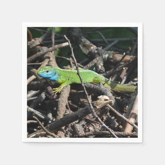 Servilleta De Papel Lizard Photo Cocktail Paper Napkins (Anverso)