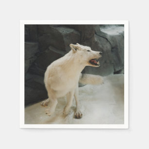 Servilleta De Papel Lobo blanco