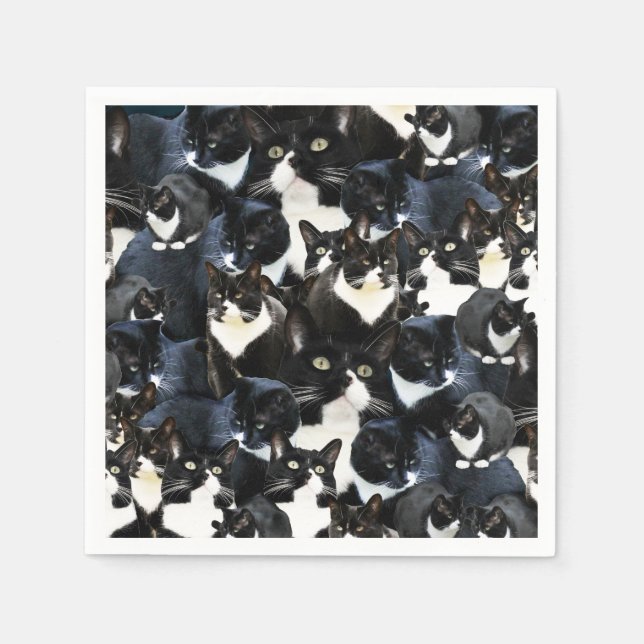 Servilleta De Papel Locura del gato en Tuxedo (Anverso)