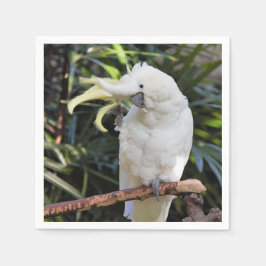 Servilleta De Papel Loro Cacatúa Crestada de Azufre Divertido y Adorab