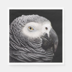 Servilleta De Papel Loro gris africano