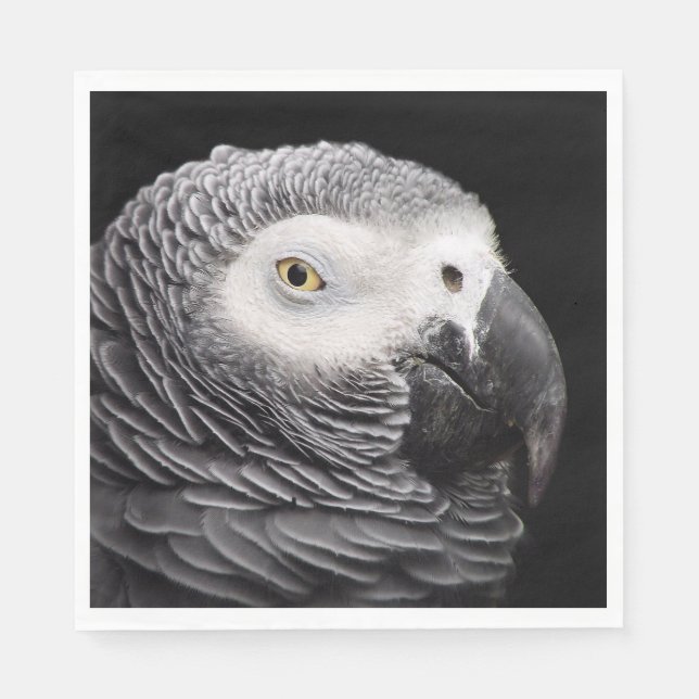 Servilleta De Papel Loro gris africano (Anverso)