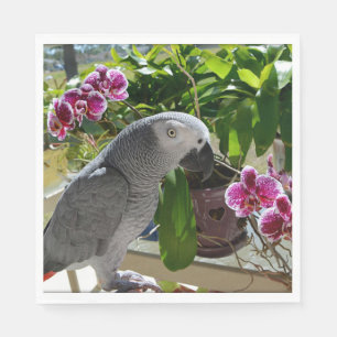 Servilleta De Papel Loro gris africano con orquídeas