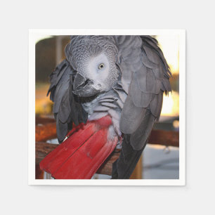 Servilleta De Papel Loro gris africano flexible del Congo con cola roj