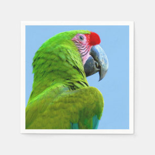 Servilleta De Papel Loro verde de Militaris del Ara