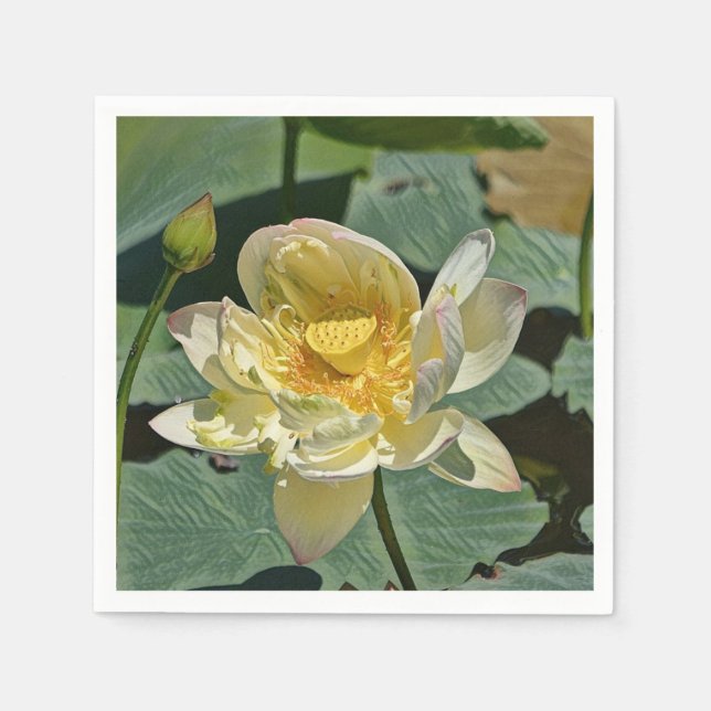 Servilleta De Papel Lotus Blossom (Anverso)