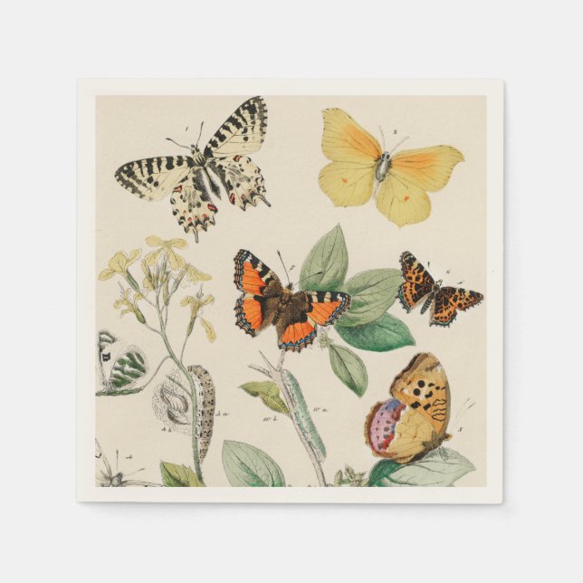 Servilleta De Papel Lovely vintage illustration of butterflies (Anverso)