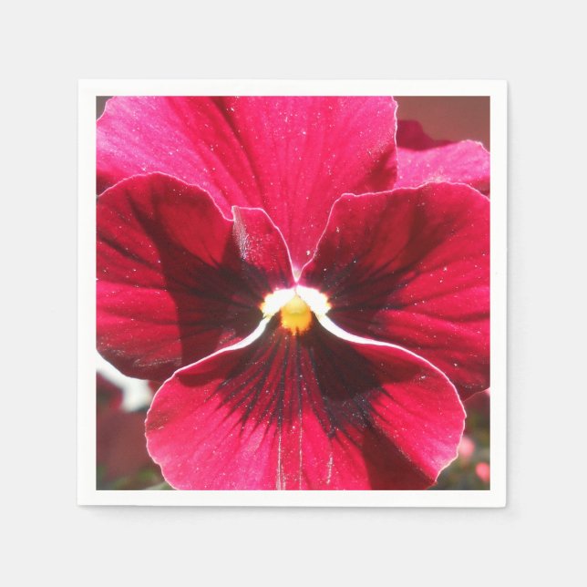 Servilleta De Papel Lucrezia (Anverso)