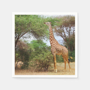 Servilleta De Papel Maasai Giraffe