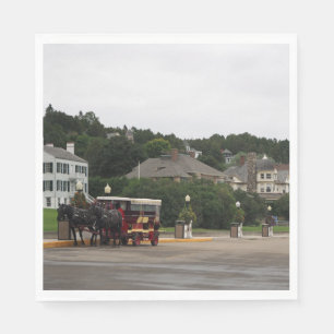 Servilleta De Papel Mackinac Island 2 Papeles