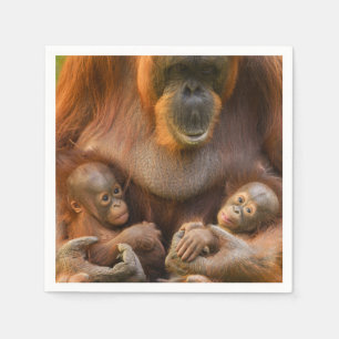 Servilleta De Papel Madre de Orangutan sosteniendo dos bebés