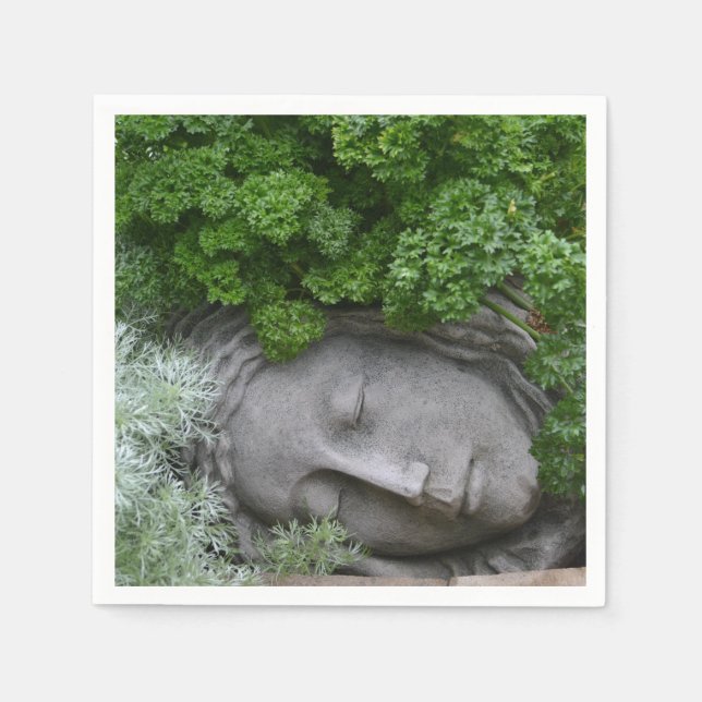 Servilleta De Papel Madre Naturaleza (Anverso)