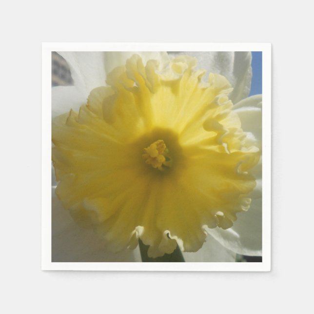 Servilleta De Papel Maenad (Anverso)