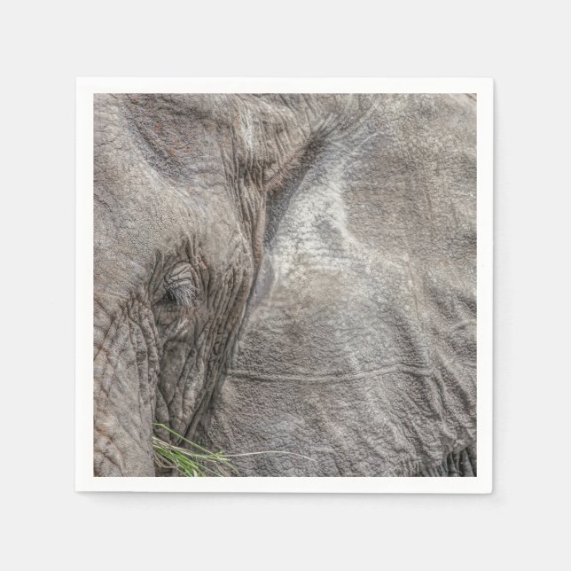 Servilleta De Papel Magníficas toallas de cóctel Elephant (Anverso)