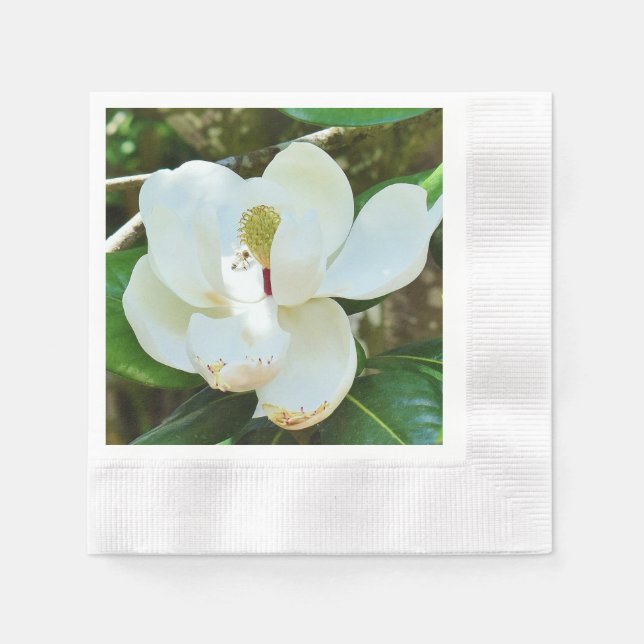 Servilleta De Papel Magnolia (Anverso)