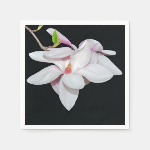 Servilleta De Papel Magnolia blanca