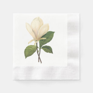 Servilleta De Papel magnolia de saucer(Magnolia soulangiana) por Redou