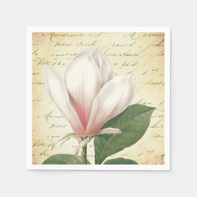 Servilleta De Papel Magnolia Flor Vintage Botánico (Anverso)