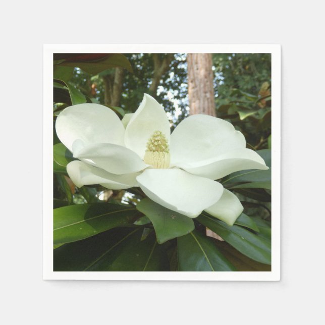 Servilleta De Papel Magnolia Grandiflora Papel Napkins (Anverso)