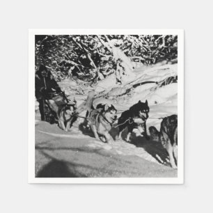 Servilleta De Papel Malamute esquimal vintage de Alaska en carreras de