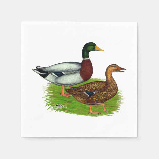 Servilleta De Papel Mallard Drake y Duck (Anverso)
