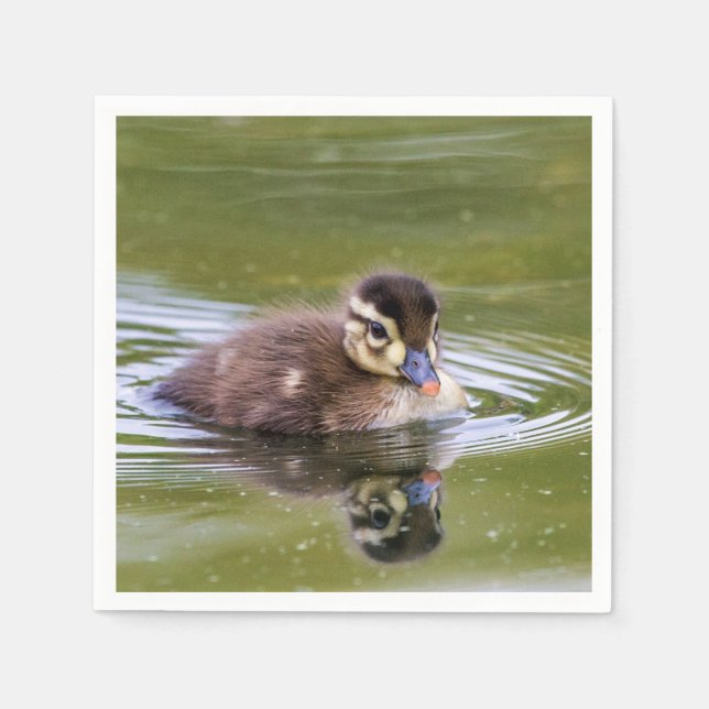 Servilleta De Papel Mallard Duckling (Anverso)