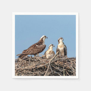 Servilleta De Papel Mamá de Osprey con sus niños