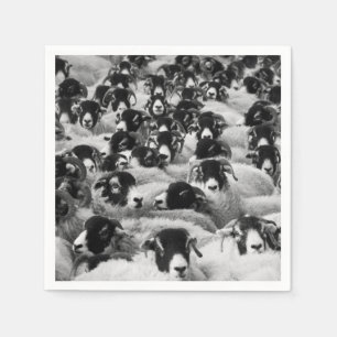 Servilleta De Papel Manada de ovejas en blanco y negro