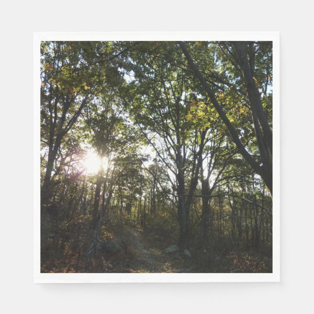 Servilleta De Papel Mañana de otoño en el Parque Nacional de Shenandoa (Anverso)