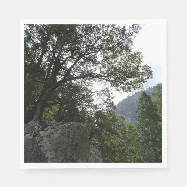 Servilleta De Papel Mañana en el sendero a las cataratas vernales en Y (Anverso)