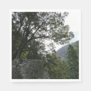 Servilleta De Papel Mañana en el sendero hacia Vernal Falls en Yosemit