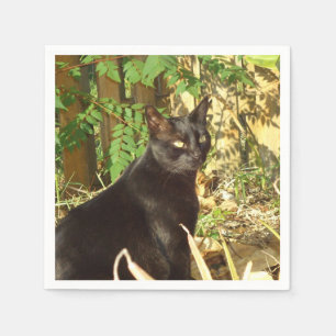 Servilleta De Papel Mañana Sun del gato negro