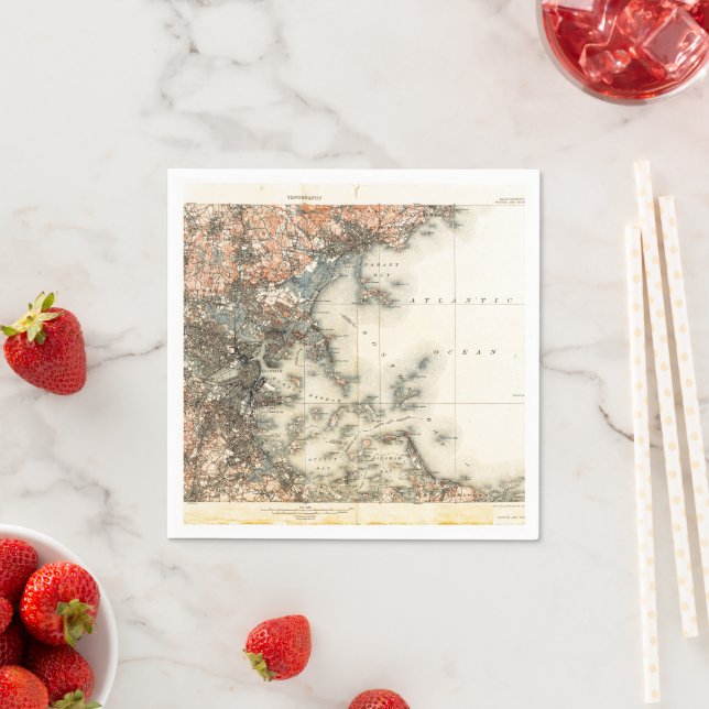 Servilleta De Papel Mapa de época de Boston (In situ)