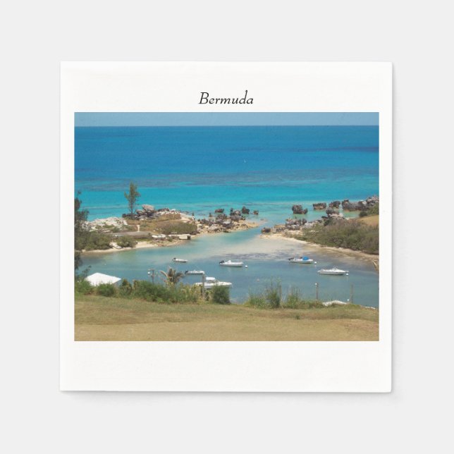 Servilleta De Papel Marina Bermuda Cove (Anverso)