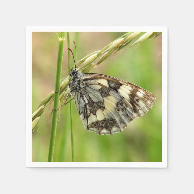 Servilleta De Papel Mariposa blanca desangrada en la hierba (Anverso)