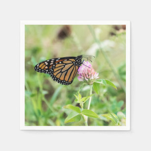 Servilleta De Papel Mariposa de monarca